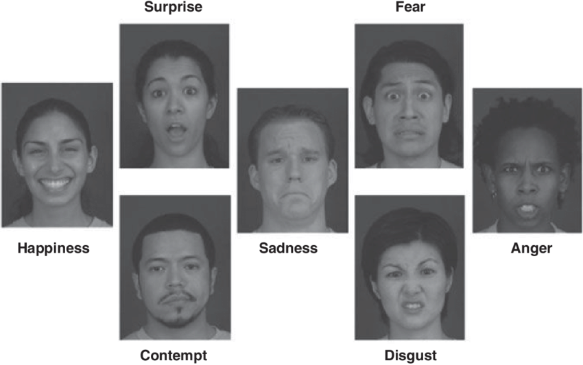 seven emotions by ekman